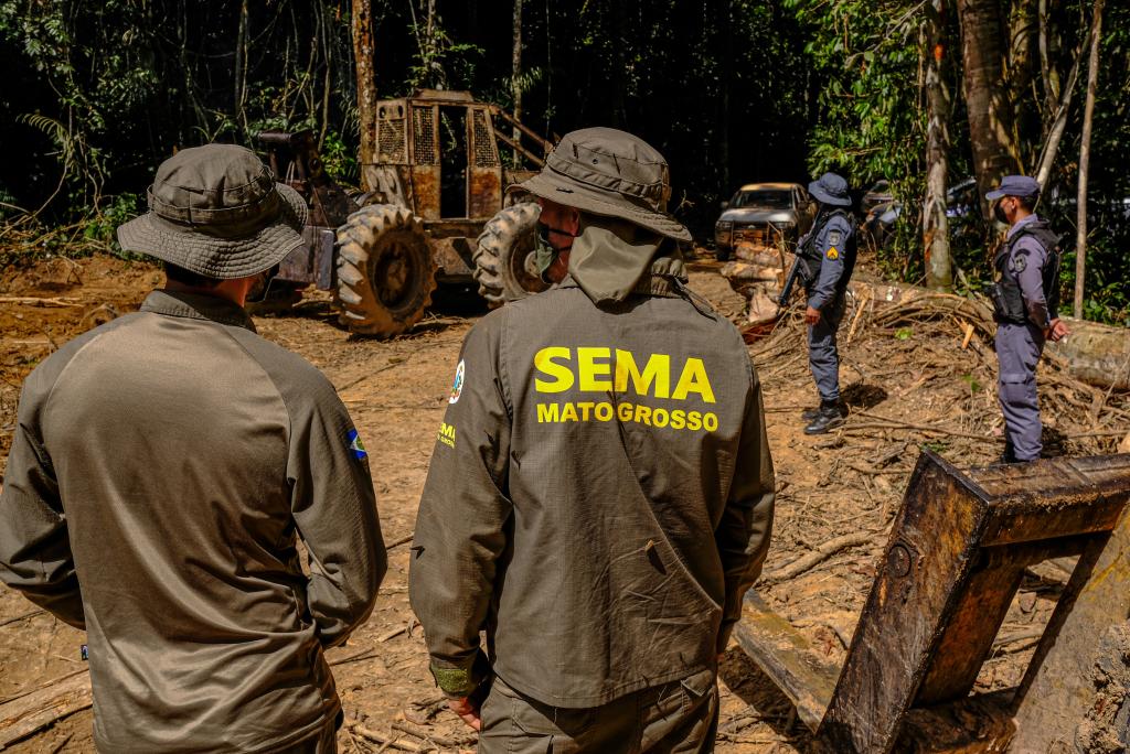 Sema deflagra 298 operações e aplica R$ 1,6 bilhão em multas contra crimes ambientais em 2024