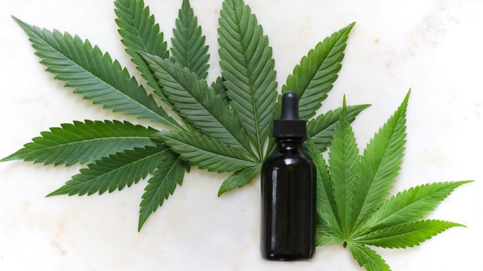 Estudos mostram que “maconha medicinal” tem mais prejuízos que benefícios