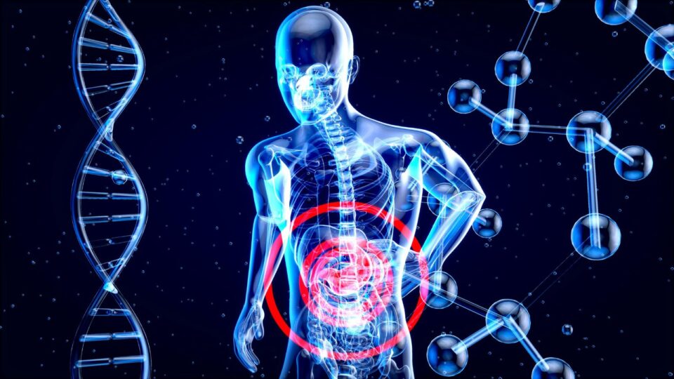 Polilaminina: a aposta da ciência brasileira na regeneração da medula espinhal