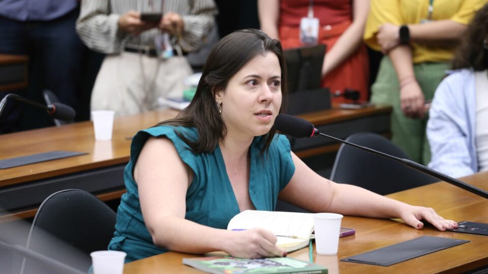 Deputada do PSOL quer usar Lei da Ficha Limpa para barrar “homofóbicos”