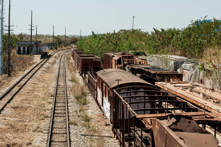 Flávio Bolsonaro promete trem de 1.400 km no Nordeste sem apresentar estudos e custos