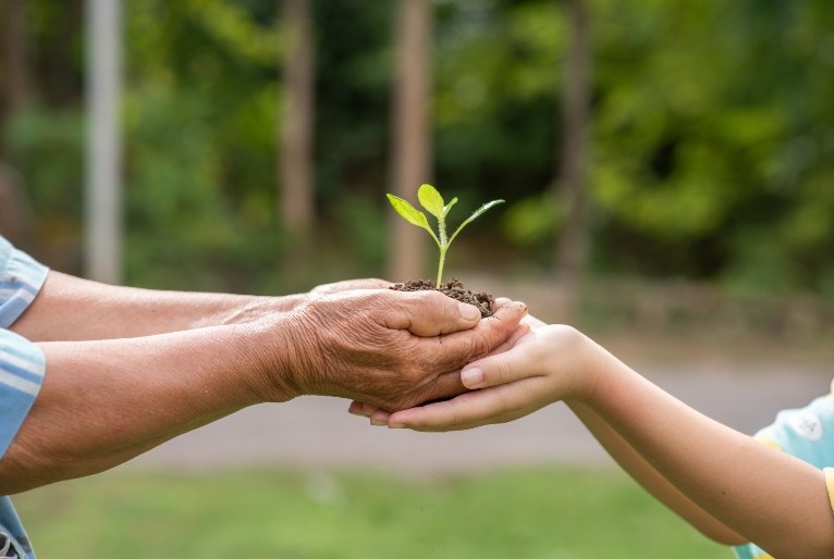 Boas Práticas Escolares apresenta projetos de educação ambiental e enfrentamento às emergências climáticas